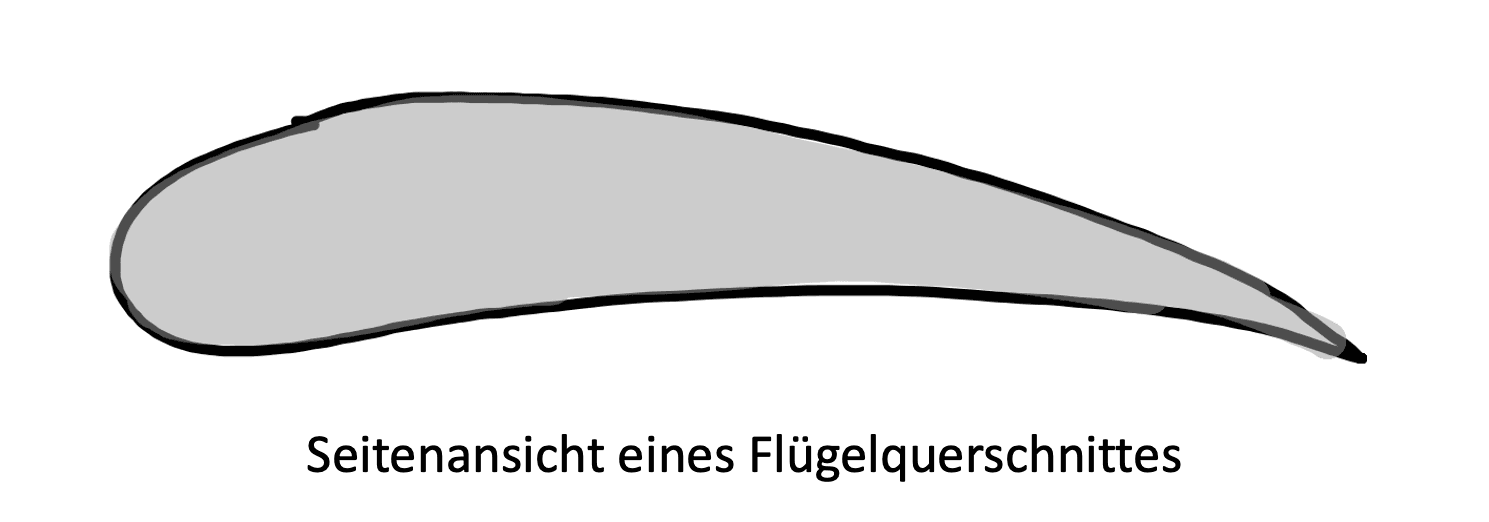 Grafik Flügelquerschnitt