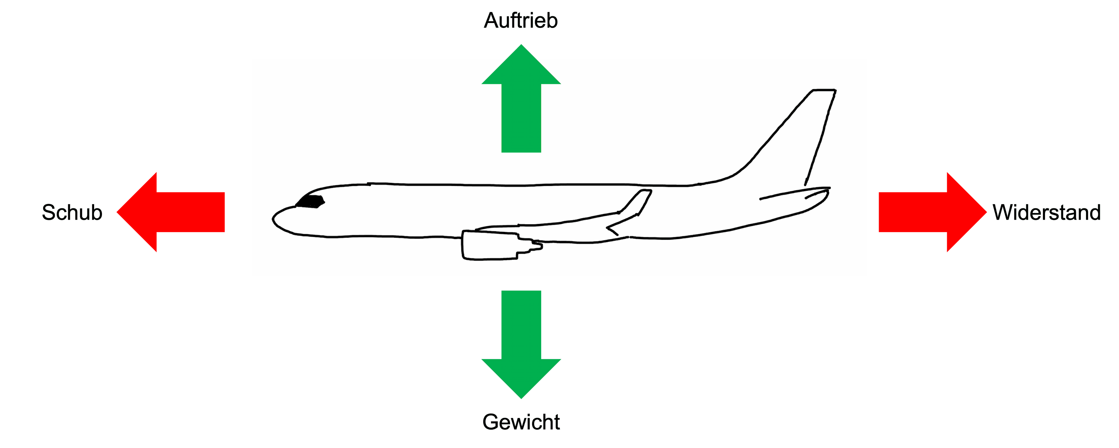 Grafik Kräfte im Flug